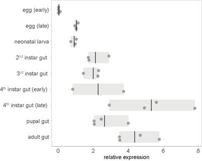 Validating the Potential of Double-Stranded RNA Targeting Colorado Potato Beetle Mesh Gene in Laboratory and Field Trials